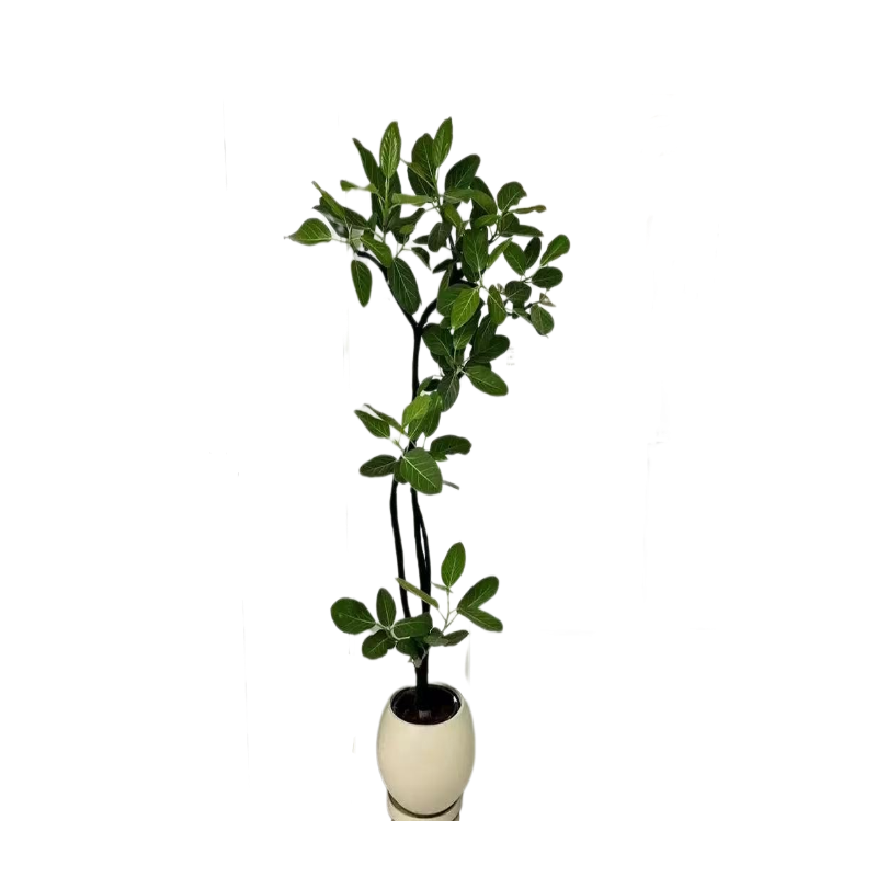 人生乐事，莫过于静等花开